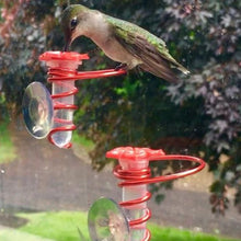 Laden Sie das Bild in den Galerie-Viewer, Kolibri-Feeder