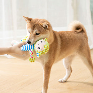 Hund Plüsch Klingendes Spielzeug