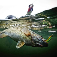 Laden Sie das Bild in den Galerie-Viewer, Magnetischer Simulationsköder