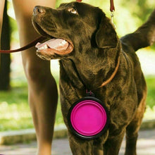 Laden Sie das Bild in den Galerie-Viewer, Faltbarer Hundenapf