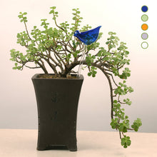 Laden Sie das Bild in den Galerie-Viewer, Automatisches Bewässerungsgerät aus Glas in Vogelform