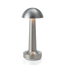 Laden Sie das Bild in den Galerie-Viewer, Einfaches wiederaufladbares Rundkopf-Nachtlicht aus Metall