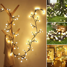 Laden Sie das Bild in den Galerie-Viewer, Verzaubertes Weidenrebenlicht