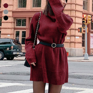 Damen Langärmliges Lockeres Pulloverkleid mit Rollkragen