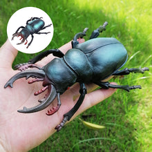 Laden Sie das Bild in den Galerie-Viewer, Simuliertes Insektenmodell