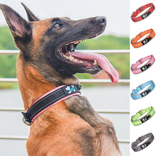 Laden Sie das Bild in den Galerie-Viewer, Reflektierendes Hundehalsband Aus Nylon