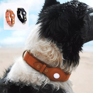 Lederhalsband für Haustiere
