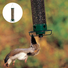 Laden Sie das Bild in den Galerie-Viewer, Anti-Eichhörnchen-Vogelhäuschen