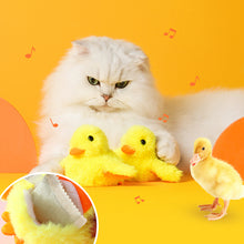 Laden Sie das Bild in den Galerie-Viewer, Gelbes Entenspielzeug für Katze