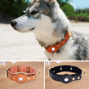 Lederhalsband für Haustiere