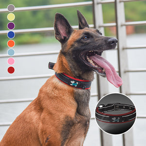 Reflektierendes Hundehalsband Aus Nylon