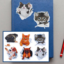 Laden Sie das Bild in den Galerie-Viewer, Kreative Tier-DIY-Diamant-Aufkleber