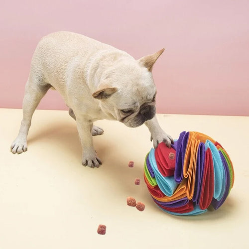 Schnüffelball Für Haustiere