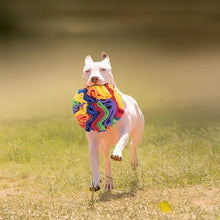 Laden Sie das Bild in den Galerie-Viewer, Schnüffelball Für Haustiere