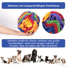 Laden Sie das Bild in den Galerie-Viewer, Schnüffelball Für Haustiere