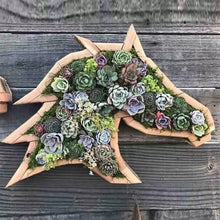 Laden Sie das Bild in den Galerie-Viewer, Tierblumentopf aus Holz
