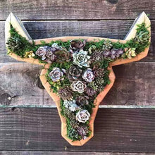 Laden Sie das Bild in den Galerie-Viewer, Tierblumentopf aus Holz