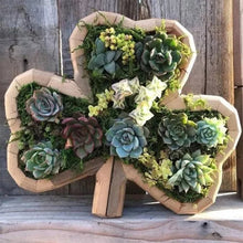 Laden Sie das Bild in den Galerie-Viewer, Tierblumentopf aus Holz