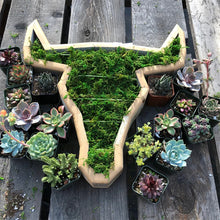 Laden Sie das Bild in den Galerie-Viewer, Tierblumentopf aus Holz