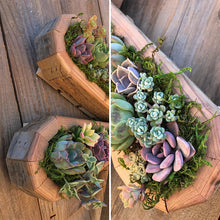 Laden Sie das Bild in den Galerie-Viewer, Tierblumentopf aus Holz