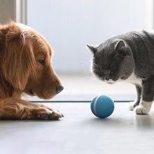 Laden Sie das Bild in den Galerie-Viewer, LED Magischer Haustier-Spielzeugball