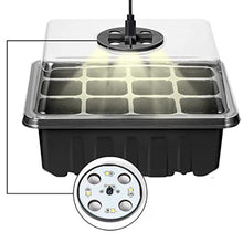 Laden Sie das Bild in den Galerie-Viewer, Sämlingsaufzuchtbox mit leichter Sämlingsheberkultivierung