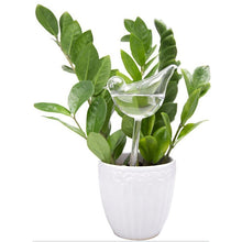 Laden Sie das Bild in den Galerie-Viewer, Selbstbewässernde Glasvögel