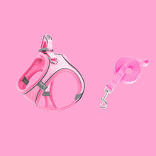 Laden Sie das Bild in den Galerie-Viewer, Brustgurt für Haustiere