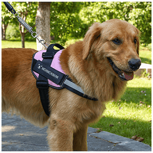 Laden Sie das Bild in den Galerie-Viewer, Oxford- Gewebe Ziehweste für Hunde