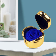 Laden Sie das Bild in den Galerie-Viewer, Handgemachte Ewige Rosen in der Metallbox