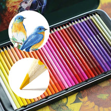 Laden Sie das Bild in den Galerie-Viewer, Öliges Buntstift-Set