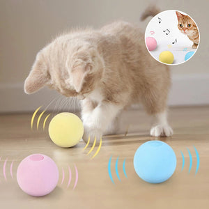 Gravitationsbellendes Katzenspielzeug