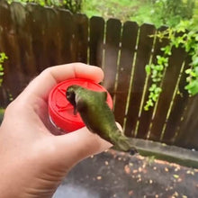 Laden Sie das Bild in den Galerie-Viewer, Mini handgeführter Futterspender für Kolibris