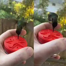 Laden Sie das Bild in den Galerie-Viewer, Mini handgeführter Futterspender für Kolibris