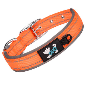 Reflektierendes Hundehalsband Aus Nylon
