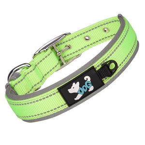 Reflektierendes Hundehalsband Aus Nylon
