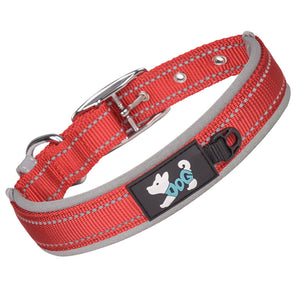 Reflektierendes Hundehalsband Aus Nylon