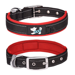 Reflektierendes Hundehalsband Aus Nylon