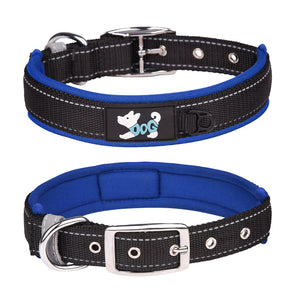 Reflektierendes Hundehalsband Aus Nylon
