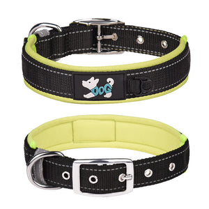 Reflektierendes Hundehalsband Aus Nylon