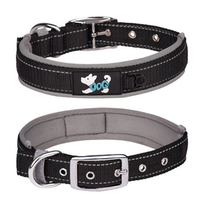 Reflektierendes Hundehalsband Aus Nylon