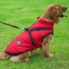 Laden Sie das Bild in den Galerie-Viewer, Wasserdichte Winterjacke für Hunde