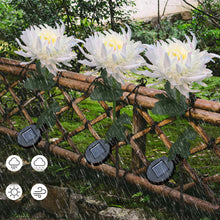 Laden Sie das Bild in den Galerie-Viewer, Solar Chrysantheme LED Gartenlandschaftsleuchte