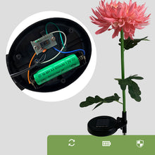 Laden Sie das Bild in den Galerie-Viewer, Solar Chrysantheme LED Gartenlandschaftsleuchte