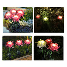 Laden Sie das Bild in den Galerie-Viewer, Solar Chrysantheme LED Gartenlandschaftsleuchte