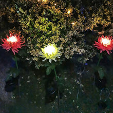 Laden Sie das Bild in den Galerie-Viewer, Solar Chrysantheme LED Gartenlandschaftsleuchte