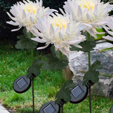 Laden Sie das Bild in den Galerie-Viewer, Solar Chrysantheme LED Gartenlandschaftsleuchte