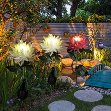 Laden Sie das Bild in den Galerie-Viewer, Solar Chrysantheme LED Gartenlandschaftsleuchte