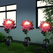 Laden Sie das Bild in den Galerie-Viewer, Solar Chrysantheme LED Gartenlandschaftsleuchte
