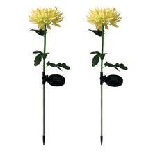 Laden Sie das Bild in den Galerie-Viewer, Solar Chrysantheme LED Gartenlandschaftsleuchte